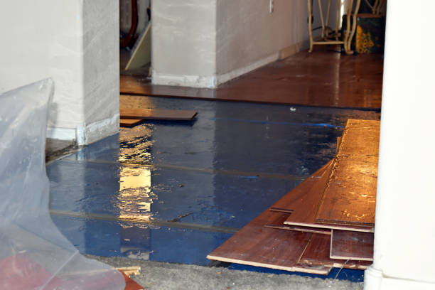 Professional Storm Water Damage Restoration technician working in Red Bud, IL